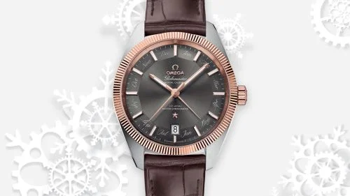 Omega Omega - 130.23.41.22.06.001 Globemaster Annual Calendar Stainless Steel / Sedna Gold / Grey