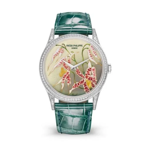 Patek Philippe - 5077/100G-032 Calatrava 5077 White Gold / Diamond / Orchids