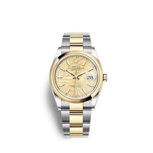 Champagne · Yellow Gold, Stainless Steel