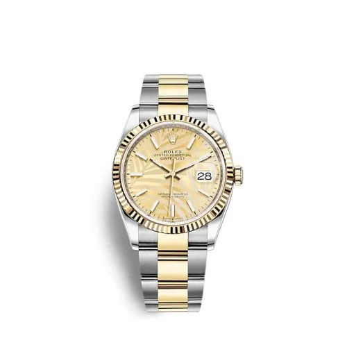 Champagne · Yellow Gold, Stainless Steel